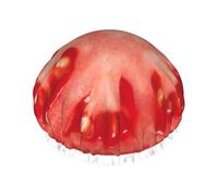Elastic Band Waterproof Shower Cap, Double Layers Reusable Shower Cap for Women, Tomato Slice