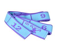 Elastic Dance Stretch Band - Numbered Fitness Resistance Training,Band Pilates Dance Yoga Gym Equipment, Exercise Workout Training Use For Home Gym Yoga Gymnastics Ballet Latin Fitness