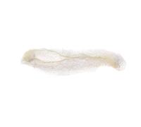 Elastic Invisible Hair Net for Nurse Dancer Guest Room Attendant Fine Mesh Cap Nurse Dancer Air Attendant Fine Mesh Net