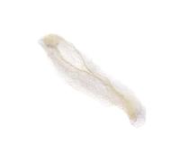 Elastic Invisible Hair Net for Nurses Dancers Flight Attendants Fine Meshes Hair Caps for Nurse Dancer Air Attendant Elastic Fine Mesh Hair Cap