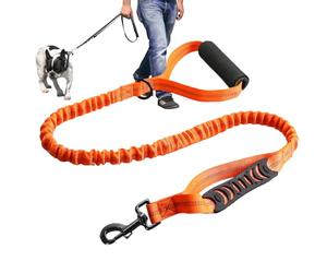 Elastic Lead for Dogs: Shock Absorbing Walking , Wear-resistant Material, Multiple Putting Design in the Outdoor Accessory Safe for Outdoors | for Dogs