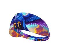 Elastic Sports Headband DLXW Beautiful Phoenix Picture Soft and Comfortable Moisture-Wicking Suitable for Yoga and Running