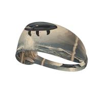 Elastic Sports Headband DLXW Dolphin Flying in The Air Picture Soft and Comfortable Moisture-Wicking Suitable for Yoga and Running