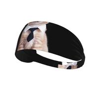 Elastic Sports Headband DLXW Gorgeously Dressed Kitten Picture Soft and Comfortable Moisture-Wicking Suitable for Yoga and Running