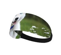 Elastic Sports Headband Hairband AEKGOHP Blue Eyed White Husky Prints Quick Drying, Moisture Wicking