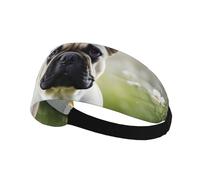 Elastic Sports Headband Hairband AEKGOHP french bulldog Prints Quick Drying, Moisture Wicking