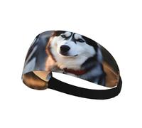 Elastic Sports Headband Hairband AEKGOHP Husky Dog Prints Quick Drying, Moisture Wicking