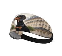 Elastic Sports Headband Hairband AEKGOHP Parisian Dachshund Prints Quick Drying, Moisture Wicking