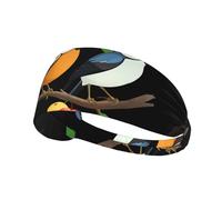 Elastic Sports Headband Hairband BROLEO A pair of birds on a fruit tree Prints Soft, Breathable, Quick-Dry