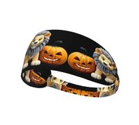 Elastic Sports Headband Hairband BROLEO Cute lion and halloween pumpkin Printing Quick Drying, Moisture Wicking