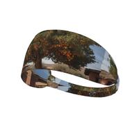 Elastic Sports Headband Hairband BROLEO Date trees in the garden Printing Quick Drying, Moisture Wicking