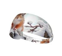 Elastic Sports Headband Hairband BROLEO Little squirrel on the snow tree Prints Soft, Breathable, Quick-Dry