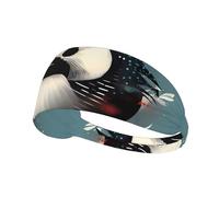 Elastic Sports Headband Hairband BROLEO Loon Nature Bird Printing Quick Drying, Moisture Wicking