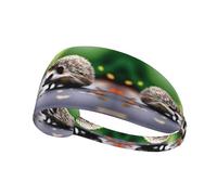 Elastic Sports Headband Hairband DDCXZPP A Little Hedgehog Printing Athletic Band for Women, Men