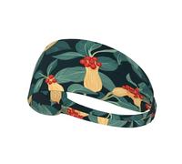 Elastic Sports Headband Hairband DDCXZPP Life Fruit on The Vine Printing Athletic Band for Women, Men
