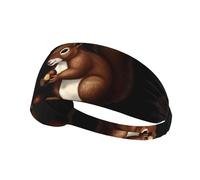 Elastic Sports Headband Hairband HYTTER Little Squirrel Eating Chestnuts Picture Spandex, Soft, Breathable, Quick-Dry