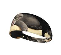 Elastic Sports Headband Hairband MJHKXLJ Lazy Kitten Lying on a Pillow Printing Spandex, Soft, Breathable, Quick-Dry