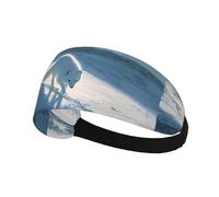 Elastic Sports Headband Hairband XBKGOHA Arctic fox on the snowy plains Printed Soft, Breathable, Quick-Dry