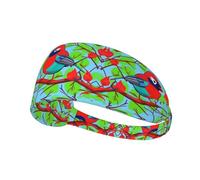 Elastic Sports Headband Hairband XBKGOHA Colorful Birds Printed Soft, Breathable, Quick-Dry
