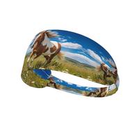 Elastic Sports Headband Hairband XBKGOHA Horses on the Prairie Printed Soft, Breathable, Quick-Dry