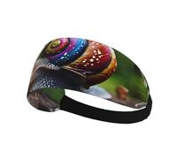 Elastic Sports Headband Hairband XBKGOHA Snail in the colorful house Printed Soft, Breathable, Quick-Dry