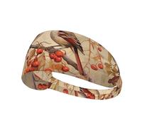 Elastic Sports Headband Hairband YYHHAOFA Sparrow on red fruit branch Printing Soft, Breathable, Quick-Dry