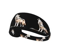 Elastic Sports Headband Hairband YYHHAOFA The Lonely Wolf Pattern Athletic Band for Women, Men
