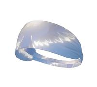 Elastic Sports Headband Hairband YYHWHJDE Bird Facing The Sun Picture Quick Drying, Moisture Wicking