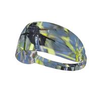 Elastic Sports Headband Hairband YYHWHJDE Black Dragonfly On Grass Pattern Spandex, Soft, Breathable, Quick-Dry