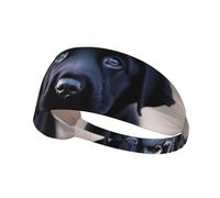Elastic Sports Headband Hairband YYHWHJDE Black Labrador Puppy Pattern Quick Drying, Moisture Wicking