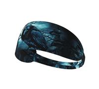 Elastic Sports Headband Hairband YYHWHJDE Blue Black Crow Pattern Soft, Breathable, Quick-Dry