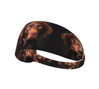 Elastic Sports Headband Hairband YYHWHJDE brown labrador retriever Pattern Soft, Breathable, Quick-Dry