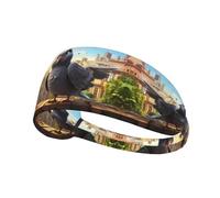 Elastic Sports Headband Hairband YYHWHJDE cartoon pigeon Pattern Soft, Breathable, Quick-Dry