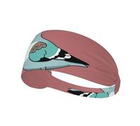 Elastic Sports Headband Hairband YYHWHJDE cartoon pigeon Picture Soft, Breathable, Quick-Dry