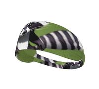 Elastic Sports Headband Hairband YYHWHJDE Cartoon Raccoon Pattern Soft, Breathable, Quick-Dry