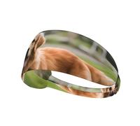Elastic Sports Headband Hairband YYHWHJDE cute golden retriever Pattern Quick Drying, Moisture Wicking