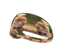 Elastic Sports Headband Hairband YYHWHJDE Cute Guinea Pig Pattern Soft, Breathable, Quick-Dry