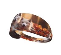 Elastic Sports Headband Hairband YYHWHJDE Cute Husky Dogs Pattern Soft, Breathable, Quick-Dry