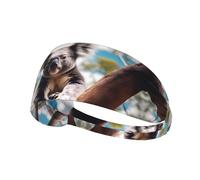 Elastic Sports Headband Hairband YYHWHJDE Cute Little Koala Pattern Spandex, Soft, Breathable, Quick-Dry