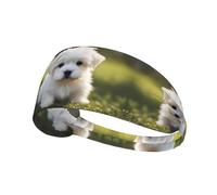 Elastic Sports Headband Hairband YYHWHJDE Cute Maltese Puppy Pattern Soft, Breathable, Quick-Dry