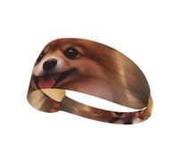 Elastic Sports Headband Hairband YYHWHJDE cute pomeranian Pattern Quick Drying, Moisture Wicking