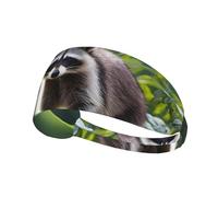 Elastic Sports Headband Hairband YYHWHJDE cute raccoon Pattern Soft, Breathable, Quick-Dry