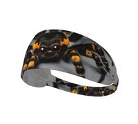 Elastic Sports Headband Hairband YYHWHJDE Cute Tarantula Spider Picture Soft, Breathable, Quick-Dry