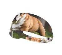 Elastic Sports Headband Hairband YYHWHJDE English Bulldogs Prints Spandex, Soft, Breathable, Quick-Dry