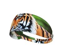 Elastic Sports Headband Hairband YYHWHJDE Fierce tiger Picture Soft, Breathable, Quick-Dry
