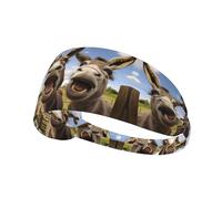 Elastic Sports Headband Hairband YYHWHJDE Funny Donkeys Pattern Soft, Breathable, Quick-Dry