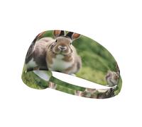 Elastic Sports Headband Hairband YYHWHJDE Funny Rabbits Pattern Soft, Breathable, Quick-Dry