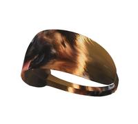 Elastic Sports Headband Hairband YYHWHJDE German shepherd dog Picture Soft, Breathable, Quick-Dry