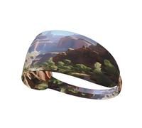 Elastic Sports Headband Hairband YYHWHJDE Grand Canyon Pattern Quick Drying, Moisture Wicking