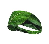 Elastic Sports Headband Hairband YYHWHJDE Green Leaf Nature Pattern Soft, Breathable, Quick-Dry